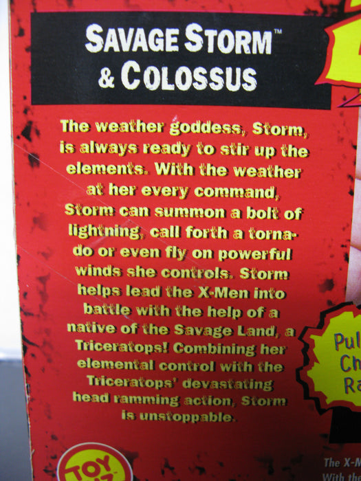 X-Men Savage Land - Savage Storm and Colossus