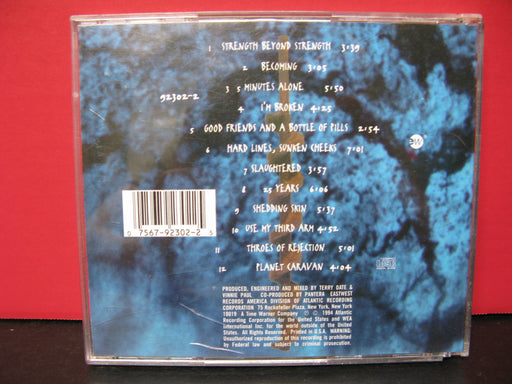 Pantera: Far Beyond Driven CD