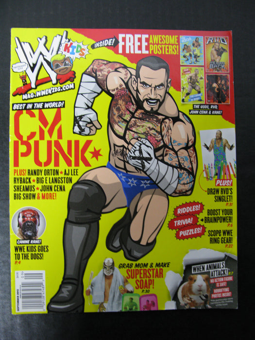 Bundle of Wrestling Magazines (23 count)