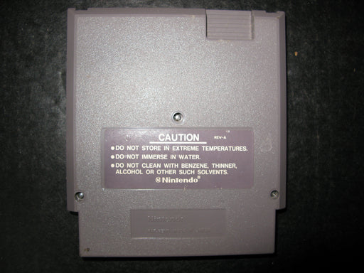 Nintendo Entertainment System Joust