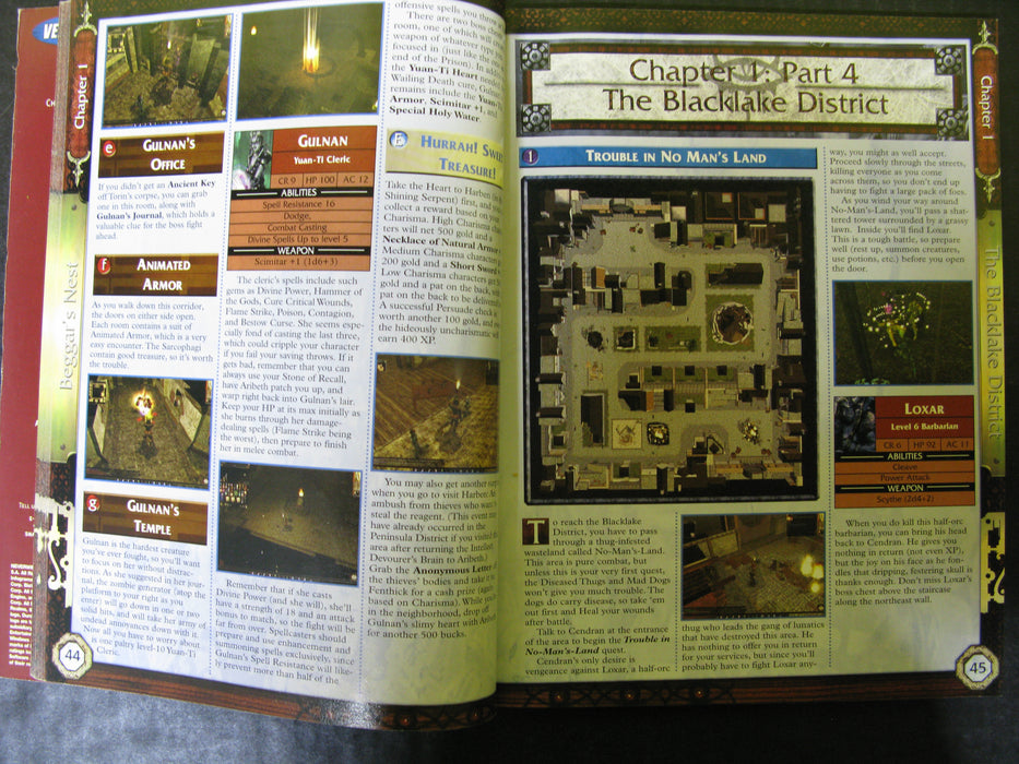 NeverWinter Nights: Adventure Guide Official Perfect Guide Versus Books Vol.40