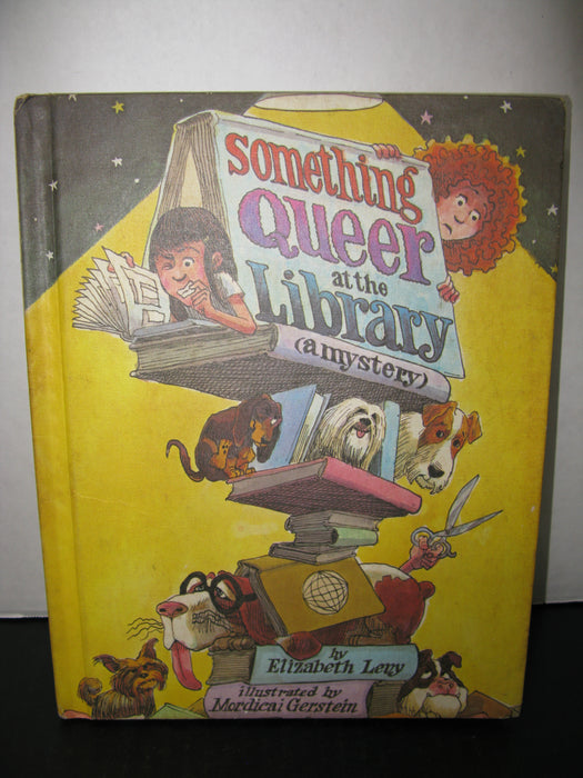 "Something Queer at the Library (a mystery) Book