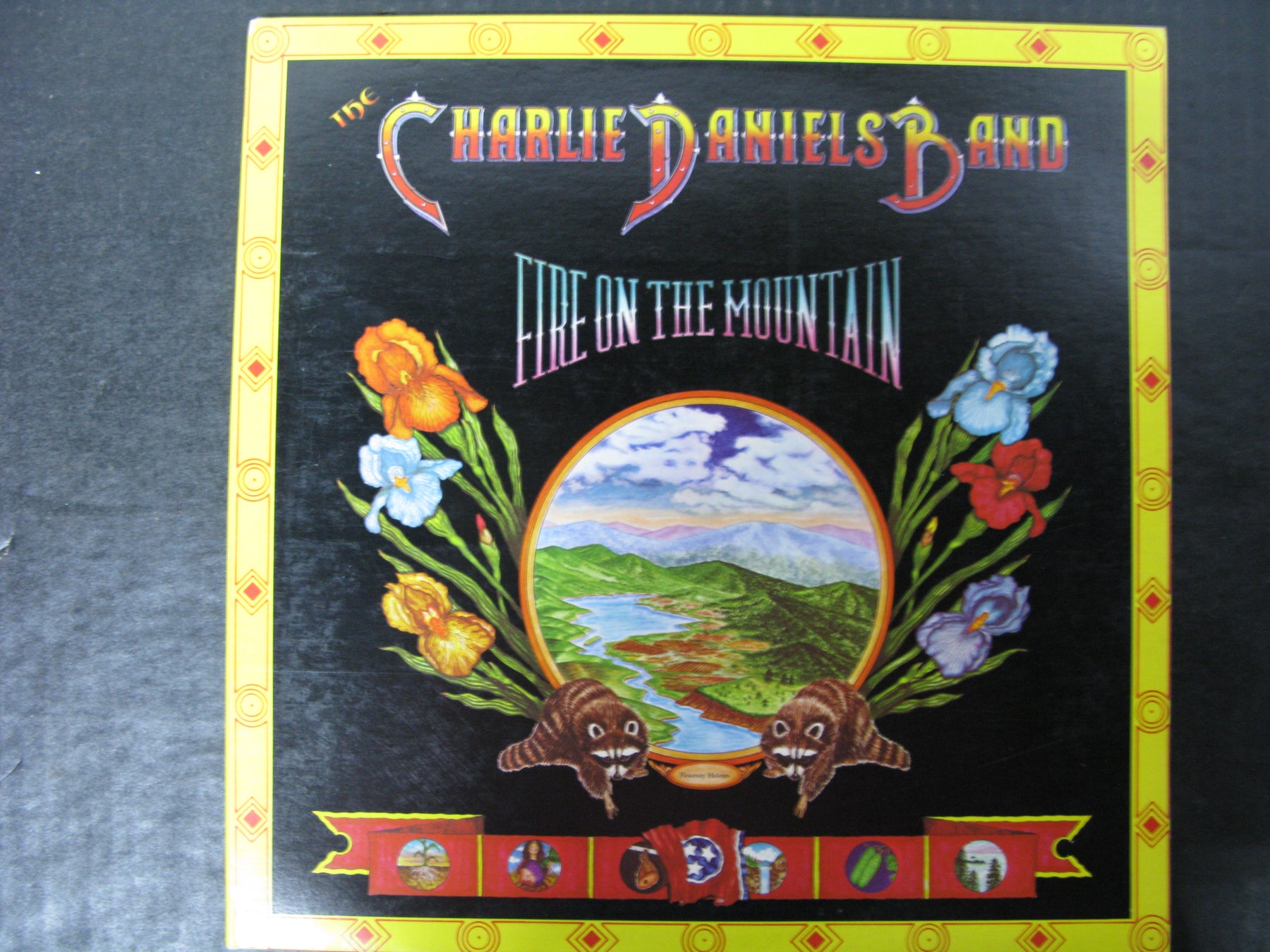 The Charlie Daniels Band - Fire on the Mountain Vinyl Record