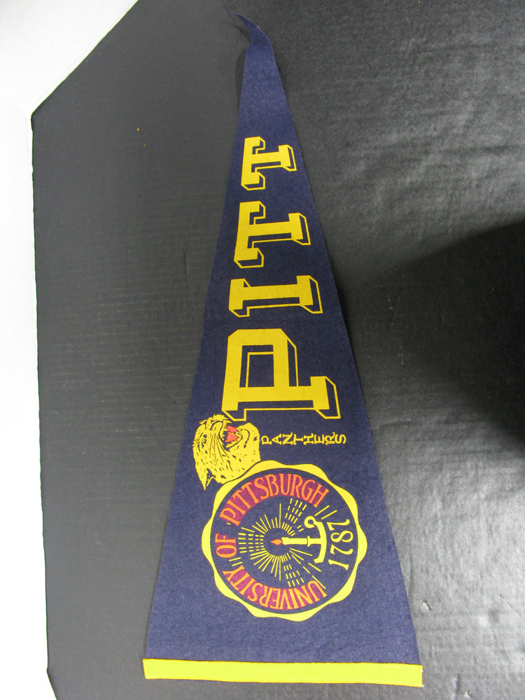University of Pittsburg 1787 Panthers Pitts Flag