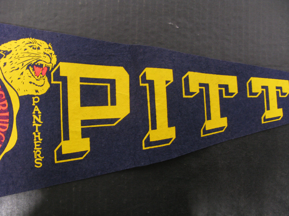 University of Pittsburg 1787 Panthers Pitts Flag