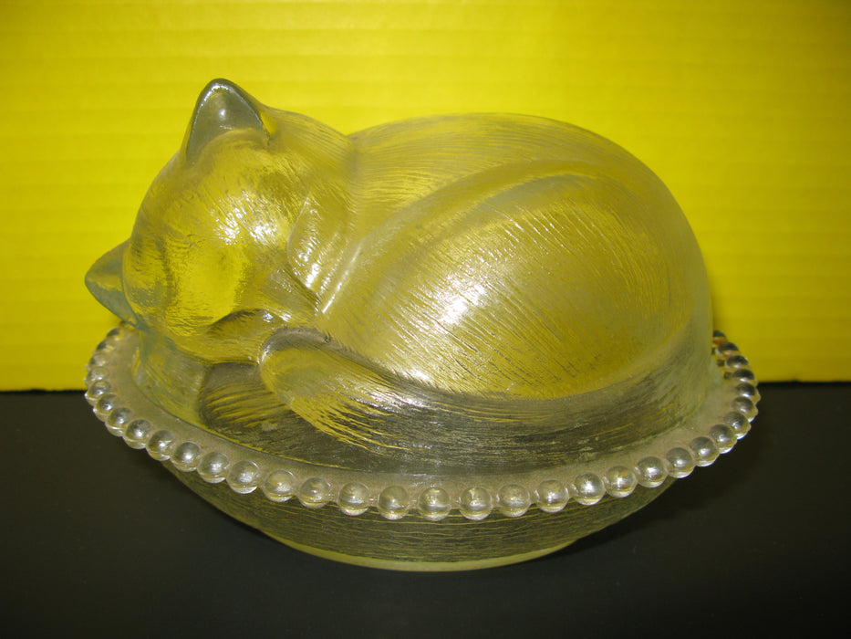 Glass Cat Container