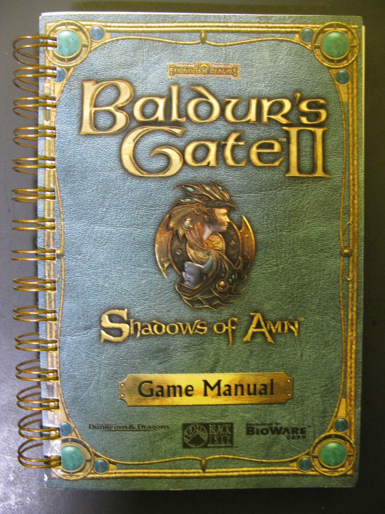 Baldur's Gate II Shadow of Amn Game Manual
